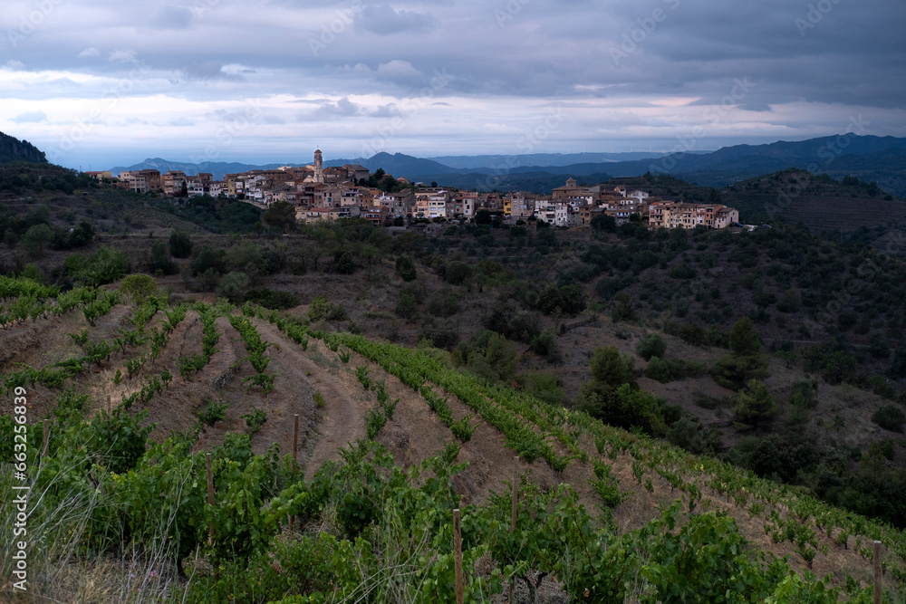 Landscape in the vineyards during spring in the Priorat appellation region in Catalonia in Spain Landscape in the vineyards during spring in the Priorat appellation region in Catalonia in Spain