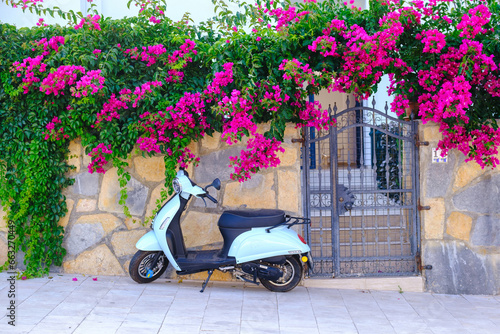 Fototapeta Naklejka Na Ścianę i Meble -  Old European street. The walls are covered with ivy, flowers, a white scooter parked. View of traditional street, house and bougainvillea flowers in Bodrum city of Turkey.