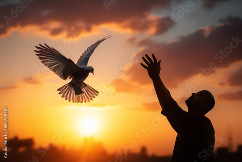 Silhouette pigeon return coming to hands in air vibrant sunlight sunset sunrise background. Freedom making merit concept. Nature animal people hope pray holy faith
