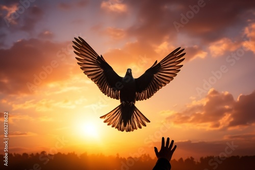 Silhouette pigeon return coming to hands in air vibrant sunlight sunset sunrise background. Freedom making merit concept. Nature animal people hope pray holy faith © JAYDESIGNZ
