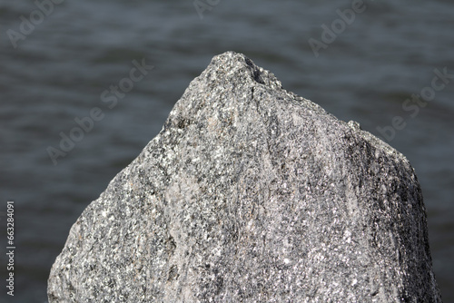 a photo of the top of a rock near a river in red hook yard