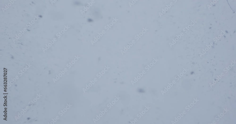 Snowflakes drift gracefully towards the camera, each unique crystal captured in its descent Snowflakes drift gracefully towards the camera, each unique crystal captured in its descent