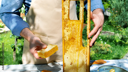Production of organic honey in ecological apiaries. Natural honey and bee products. A beekeeper in an apron holds honey in a honeycomb and a frame with honey in his hands staying in summer garden.