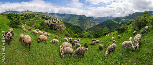 Aerial view of sheeps grazing near the Tatev Monastery on the rocks, a monastery complex with view over the valley and mountains, Tatev, Syunik Province, Armenia. photo