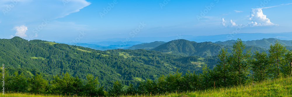Carpathians mountains landscapes from green meadow on sunset, Apetska mountain, Ukraine Carpathians mountains landscapes from green meadow on sunset, Apetska mountain, Ukraine