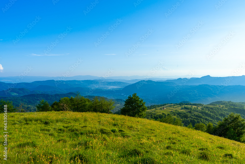 Carpathians mountains landscapes from green meadow on sunset, Apetska mountain, Ukraine Carpathians mountains landscapes from green meadow on sunset, Apetska mountain, Ukraine