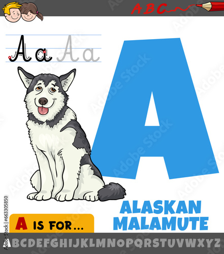 letter A from alphabet with cartoon Alaskan malamute dog