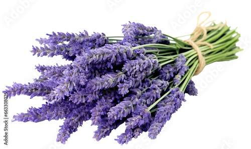 bunch of lavender isolated on transparent or white background, png 