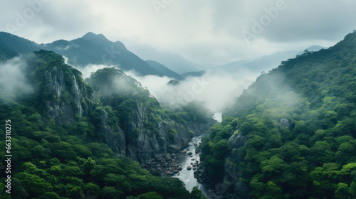 Mist-Covered Forests and Hidden Waterfalls