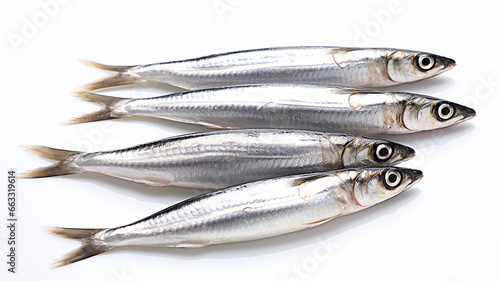 anchovy isolated on the background, fresh fish