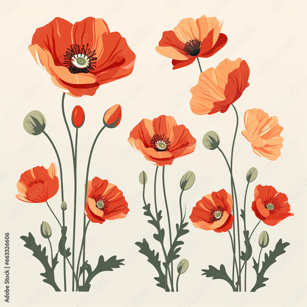 Obraz premium Set of red poppies isolated on white background. Vector illustration.