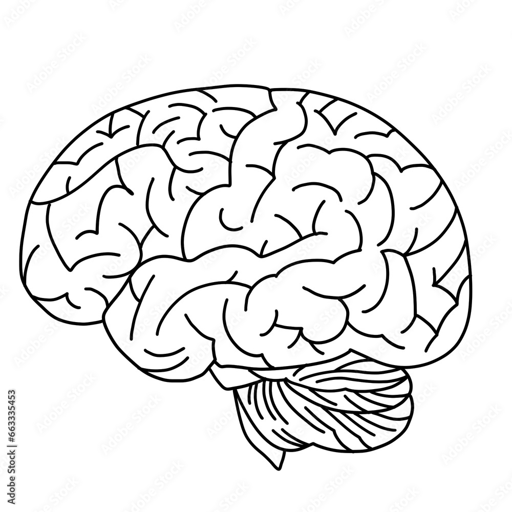 Line drawing of a sideways brain Line drawing of a sideways brain