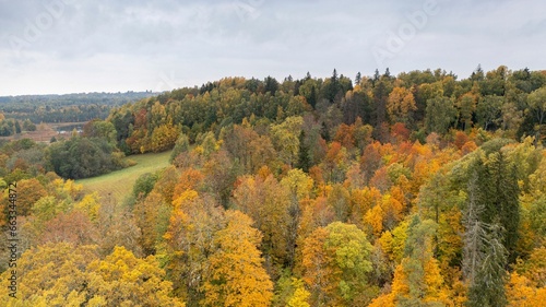 Fototapeta Naklejka Na Ścianę i Meble -  an aerial shot of a forest in the fall time with yellow, green and brown