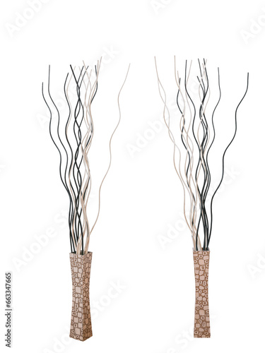 decorative branches isolated on white