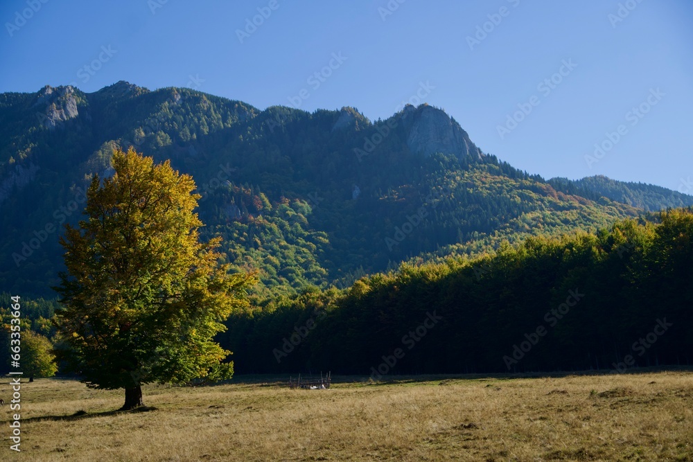 autumn in the mountains, Zaganu Mountain, Ciucas Mountains, Romania 