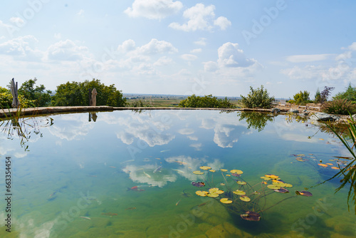 artificial pond with fish in the garden of a country house. 