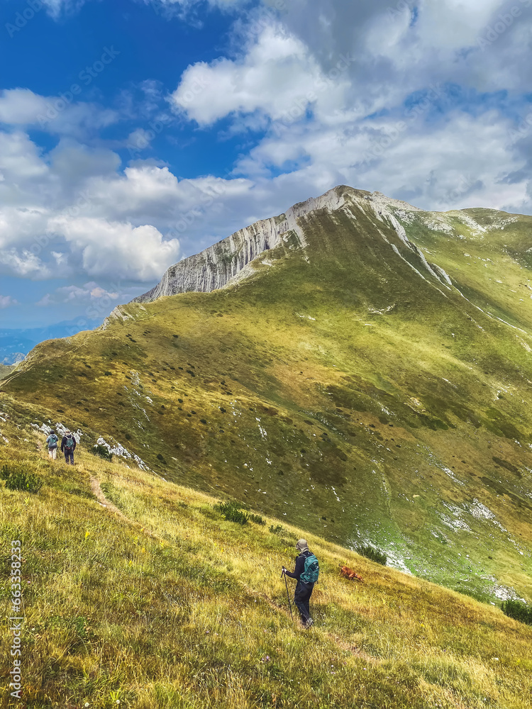 Solo traveling backpacker hiking on trail against backdrop of summer mountain landscape with Prutas summit in Durmitor National Park, Montenegro. Man walking on a trail in mountainous green valley.