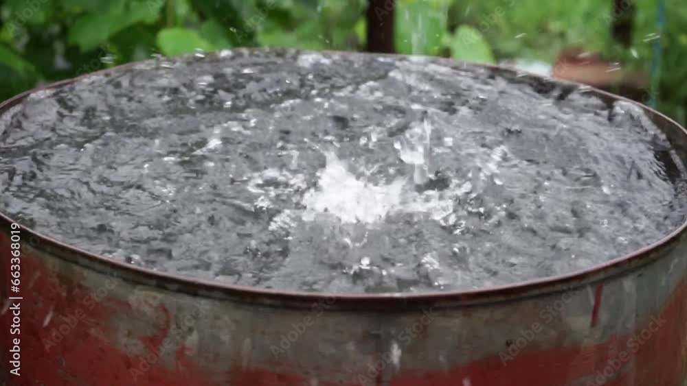 rainwater flows from the roof into a barrel rainwater flows from the roof into a barrel