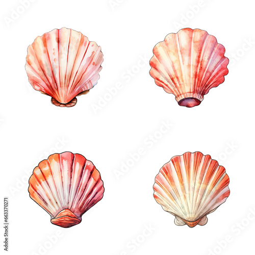 set of happy cute seashell watercolor illustrations for printing on baby clothes, pattern, sticker, postcards, print, fabric, and books