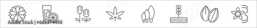 outline set of nature line icons. linear vector icons such as astrantia, lemon and juice drop out, tulip, cannabis, cypress, plant growing on book, almond, vanilla