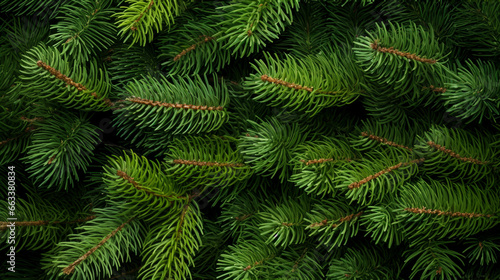 Pine  Christmas tree branches. New Year background. Top view