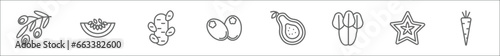 outline set of fruits line icons. linear vector icons such as olives, melon, ginger, breast milk fruit, guava, spinach, star fruit, carrot