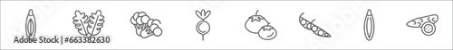 outline set of fruits line icons. linear vector icons such as zucchini, arugula, cauliflower, radish, tomato, pea, courgette, cucumber