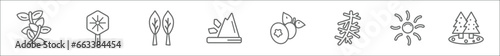 outline set of nature line icons. linear vector icons such as briar leaf, orbicular, lanceolate, falling debris, bilberry leaf, larch leaf, shining sun with rays, spruce