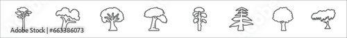 outline set of nature line icons. linear vector icons such as pitch pine tree, shagbark hickory tree, sycamore tree, pin cherry slippery elm eastern hemlock butternut black willow