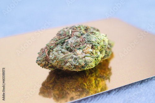 Cogollo o flor de marihuana verde con tricomas y thc sobre un fondo dorado reflejante photo