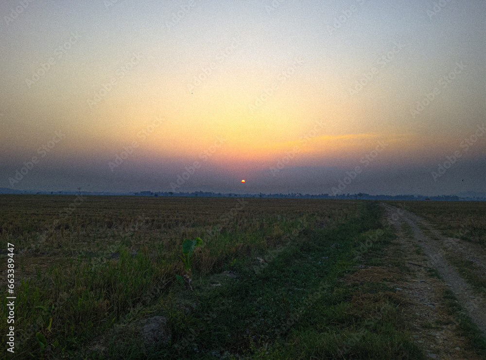 waiting for the sun to set in the rice fields
