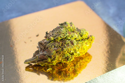 Cogollo de marihuana verde y dorada premium de calidad sobre un fondo reflejante dorado photo
