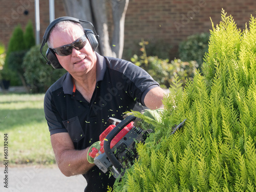 Φωτογραφία A gardener uses a hedge trimmer to trim a bush