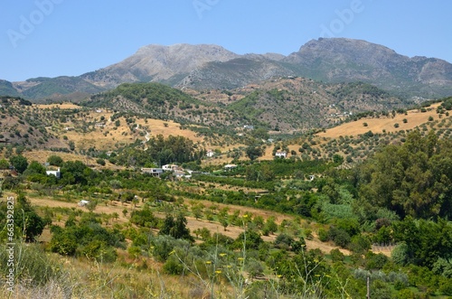 Paisaje andaluz alrededor de Monda  provincia de M  laga