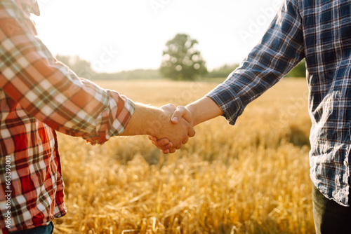 Against the backdrop of a golden wheat field, two farmers shake hands. Successful businessmen making a handshake after a profitable deal.