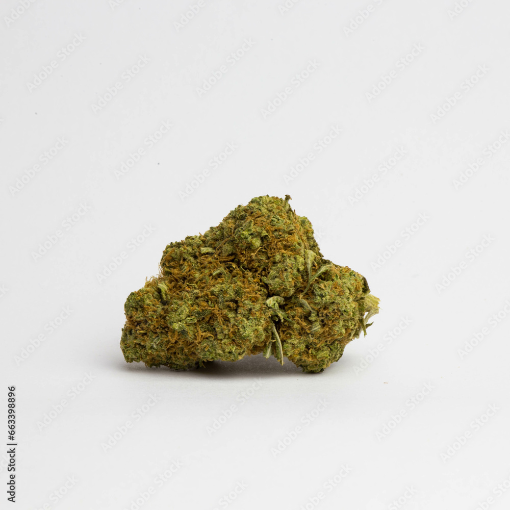 Close Up of Medicinal Marijuana, Product Shot, Girl Scout Cookies Close Up of Medicinal Marijuana, Product Shot, Girl Scout Cookies