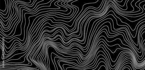Topographic map texture. Abstract linear background. Vector print of waves. White lines on black background.