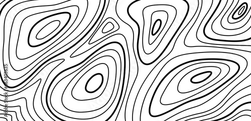 Topographic map texture. Abstract linear background. Vector print of waves. Black lines on white background.