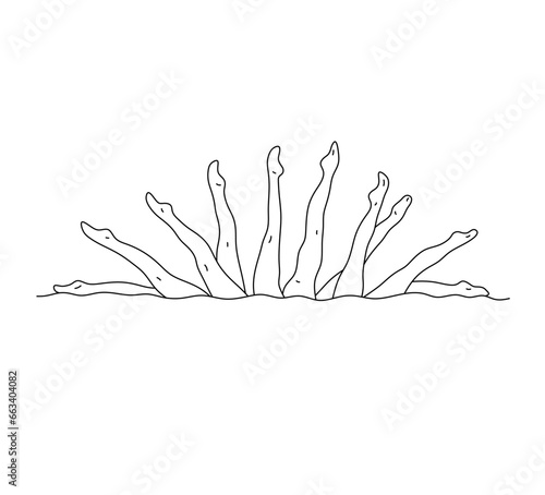 Vector isolated many woman legs in the pool synchronized swimming team colorless black and white contour line easy drawing