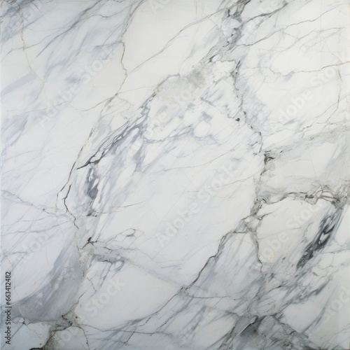 photo of carrara Marble slab © Riccardo