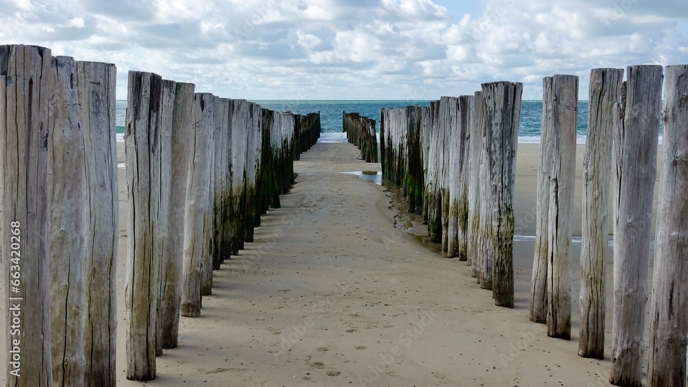 Wellenbrecher, Holzpfähle am Nordseestrand in den Niederlande