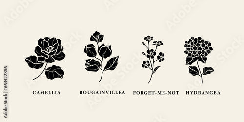 Flat vector camellia, bougainvillea, forget-me-not, hydrangea