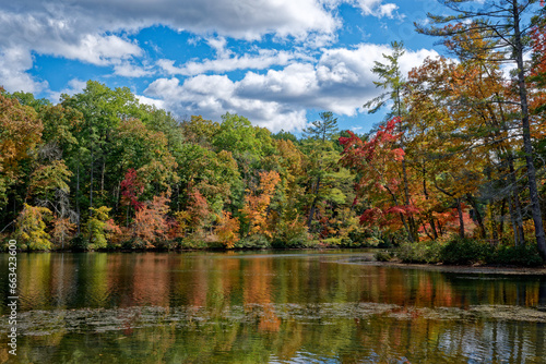 Autumn colors at the lake