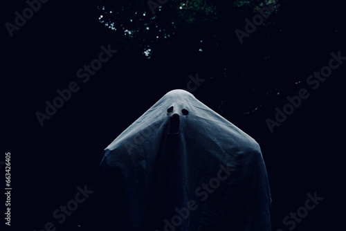 White spirit appears in middle of forest dark night. Halloween party. 
