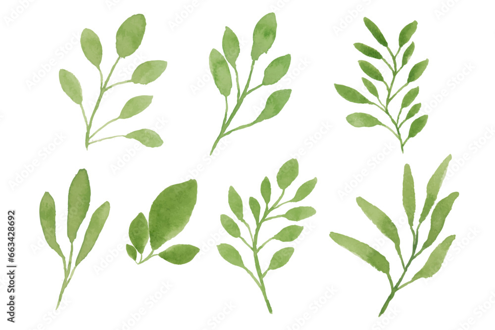 Assortment of watercolor leaves illustration set - green leaf branches collection for wedding, greetings, stationary,  wallpapers, fashion, background. olive, green leaves, Eucalyptus etc