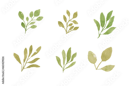 Set of watercolor leaves illustration - green leaf branches collection for wedding, greetings, stationary,  wallpapers, fashion, background. olive, green leaves, Eucalyptus etc