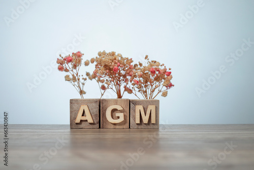 AGM - Annual General Meeting is a meeting of the general membership of an organization, acronym business concept background