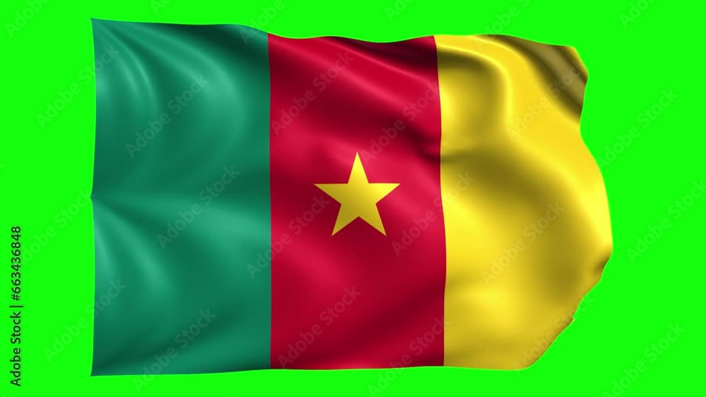 Cameroon Flag on transparent background Cameroon Flag on transparent background