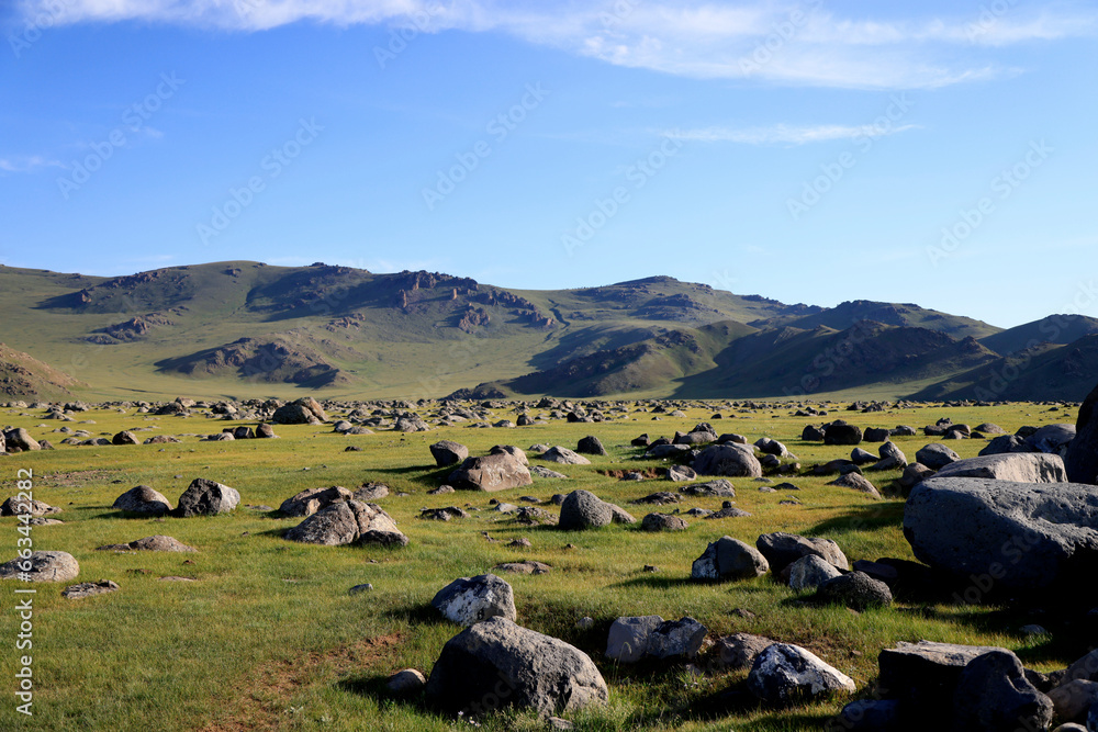 View of the green Mongolian steppe in summer View of the green Mongolian steppe in summer