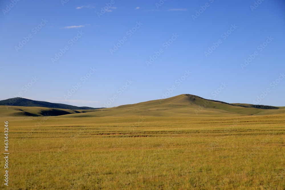 Fototapeta premium View of the green Mongolian steppe in summer